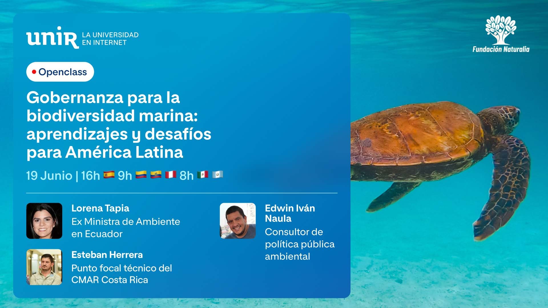 Gobernanza para la biodiversidad marina: aprendizajes y desafíos para América Latina